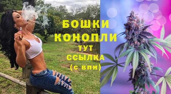 дживик Зерноград