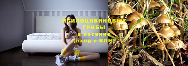 прущий лед Заводоуковск